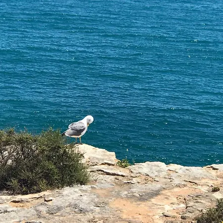 Διαμέρισμα Saltwater