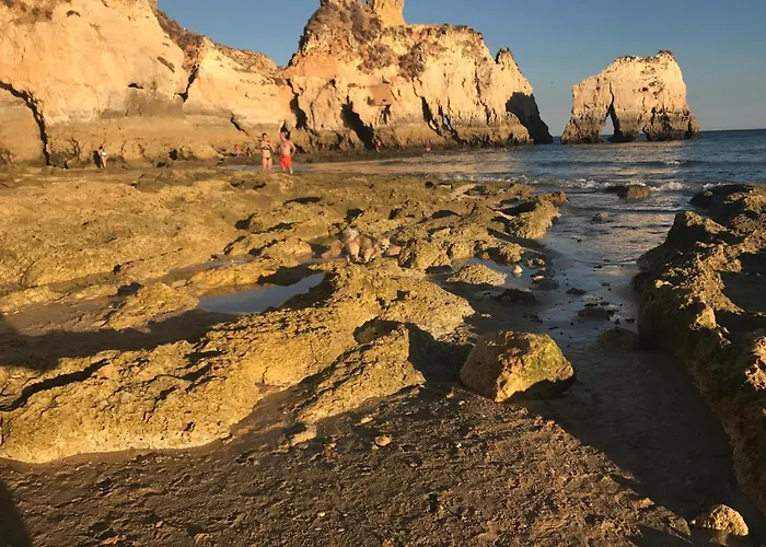 Saltwater * بورتيماو